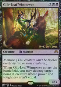 Gilt-Leaf Winnower - 