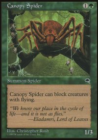 Canopy Spider - Tempest