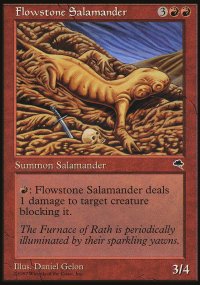 Flowstone Salamander - 