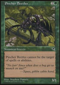 Pincher Beetles - 
