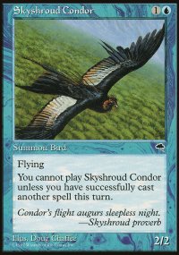 Skyshroud Condor - 