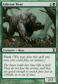 Ashcoat Bear - 