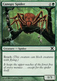 Canopy Spider - 10th Edition