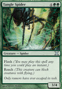 Tangle Spider - 