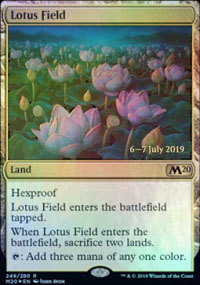 Lotus Field - 