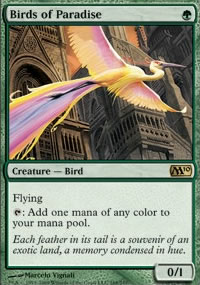 Birds of Paradise - Magic 2010