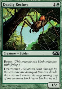 Deadly Recluse - 