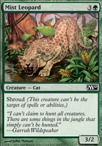 Lopard des brumes - 