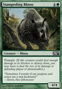 Stampeding Rhino - 