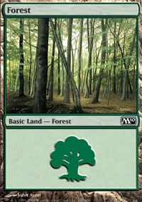 Forest - 