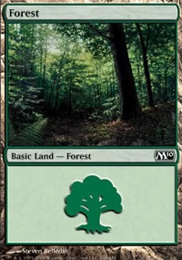 Forest - 