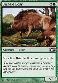 Brindle Boar - Magic 2011