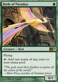 Birds of Paradise - Magic 2012