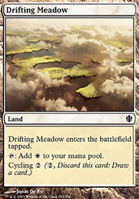 Drifting Meadow - 