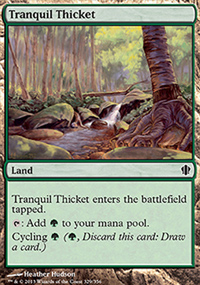 Tranquil Thicket - 