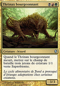 Thrinax bourgeonnant - 