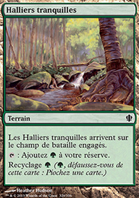Halliers tranquilles - 