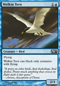 Welkin Tern - Magic 2013