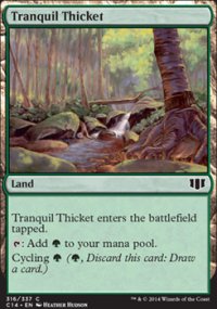 Tranquil Thicket - 