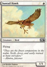 Suntail Hawk - 