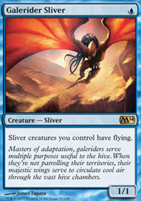 Galerider Sliver - Magic 2014