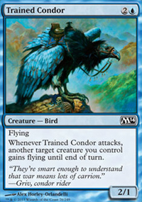 Trained Condor - 