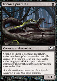 Triton  pustules - Magic 2014