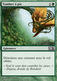 Tomber  pic - Magic 2014