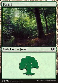 Forest - 