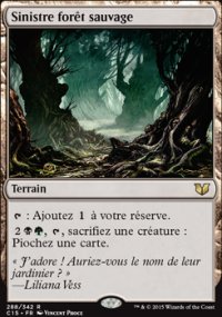 Sinistre fort sauvage - 