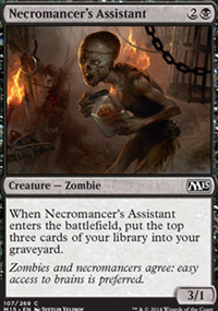 Necromancer's Assistant - 
