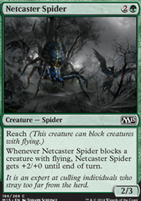 Netcaster Spider - 