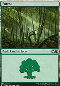 Forest 1 - Magic 2015