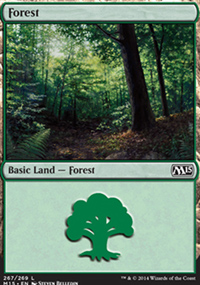 Forest - 