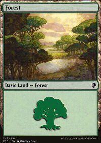 Forest - 