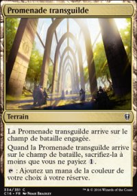 Promenade transguilde - 