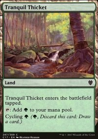 Tranquil Thicket - 