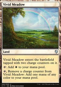 Vivid Meadow - 