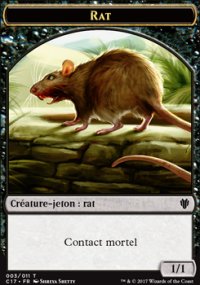 Rat - 