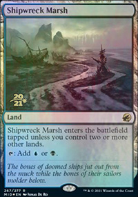 Shipwreck Marsh - 