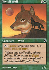 Loup de Wylouli - 