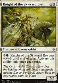 Knight of the Skyward Eye - 