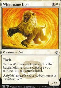 Whitemane Lion - 