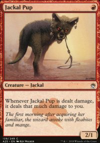 Jackal Pup - Masters 25