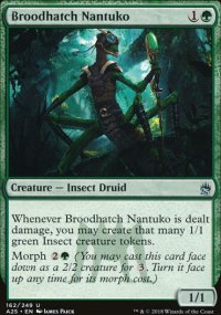 Broodhatch Nantuko - 