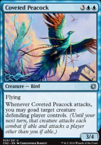 Coveted Peacock - 