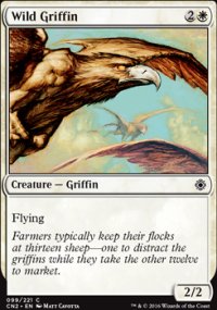 Griffon sauvage - 