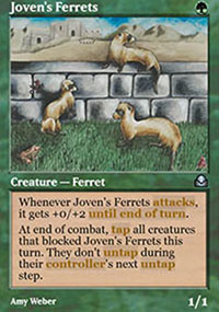 Joven's Ferrets - 