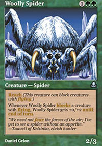 Woolly Spider - 