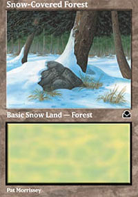 Snow-Covered Forest - 